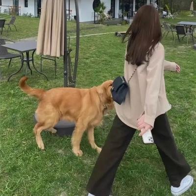 当你年少时